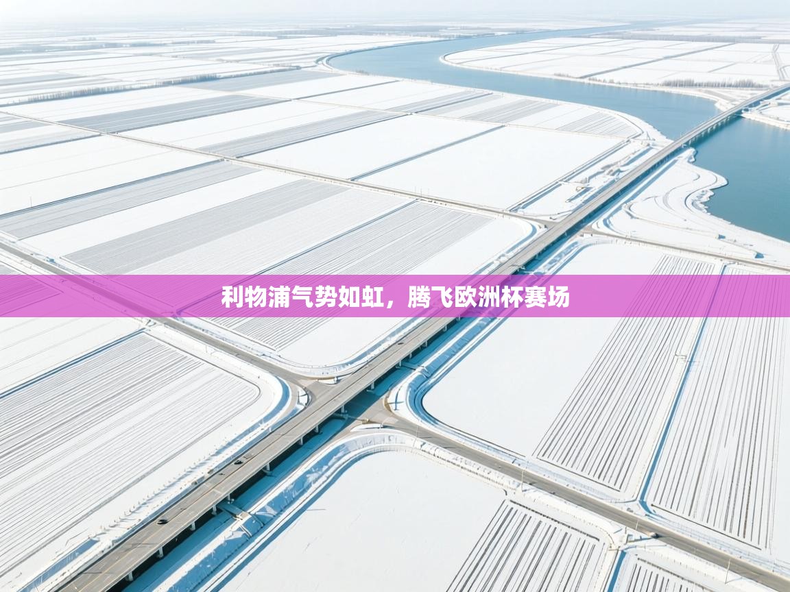 开云赛事-利物浦气势如虹,腾飞欧洲杯赛场 第2张