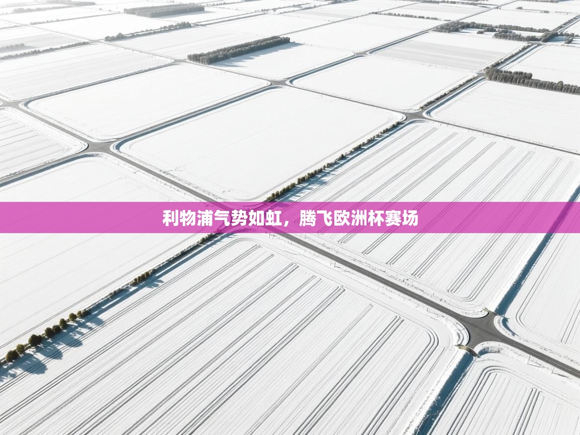 开云赛事-利物浦气势如虹,腾飞欧洲杯赛场 第3张