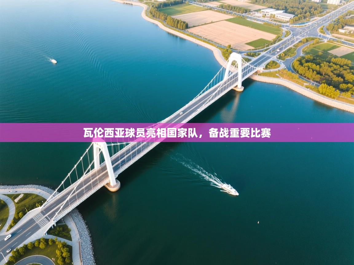 开云体育绑定手机指南-瓦伦西亚球员亮相国家队，备战重要比赛  第4张